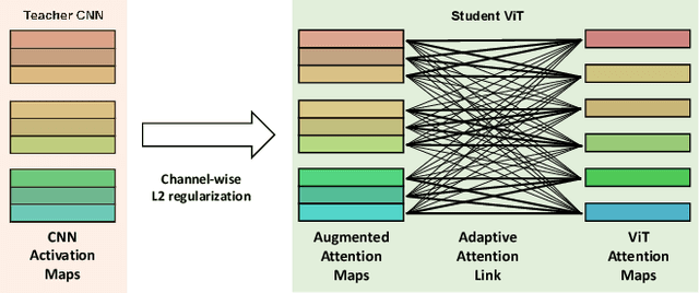 Figure 1 for Adaptive Attention Link-based Regularization for Vision Transformers