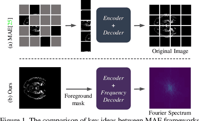 Figure 1 for FreMAE: Fourier Transform Meets Masked Autoencoders for Medical Image Segmentation