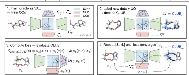 Figure 2 for MoleCLUEs: Optimizing Molecular Conformers by Minimization of Differentiable Uncertainty