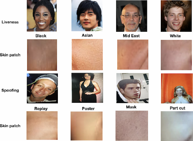 Figure 1 for FaceSkin: A Privacy Preserving Facial skin patch Dataset for multi Attributes classification