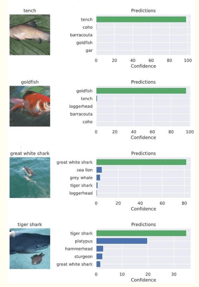 Figure 4 for Adversarial Attacks on Image Classification Models: FGSM and Patch Attacks and their Impact