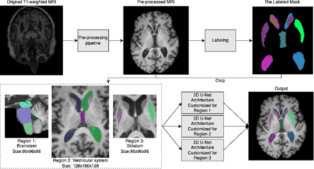 Figure 1 for Region-based U-net for accelerated training and enhanced precision in deep brain segmentation