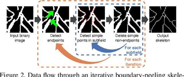 Figure 3 for A skeletonization algorithm for gradient-based optimization