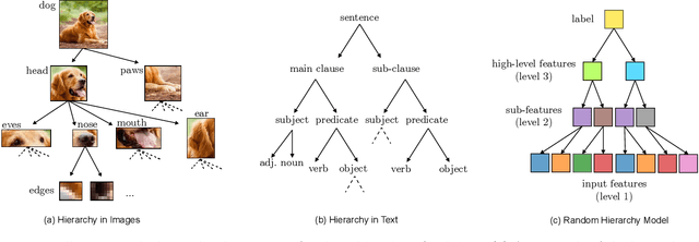 Figure 1 for How Deep Neural Networks Learn Compositional Data: The Random Hierarchy Model