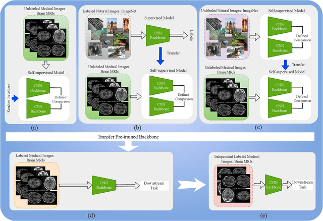Figure 1 for Cross-Domain Self-Supervised Deep Learning for Robust Alzheimer's Disease Progression Modeling