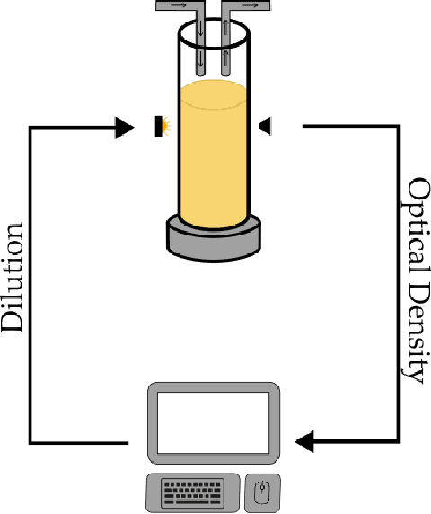Figure 1 for In vivo learning-based control of microbial populations density in bioreactors