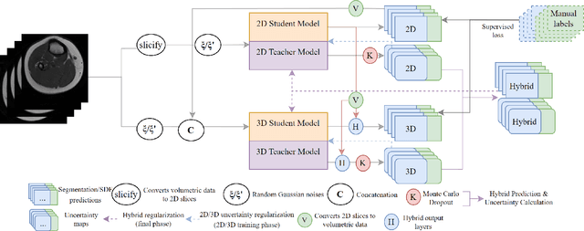 Figure 1 for Hybrid Dual Mean-Teacher Network With Double-Uncertainty Guidance for Semi-Supervised Segmentation of MRI Scans