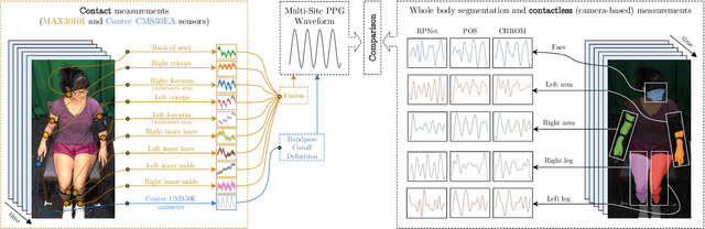 Figure 1 for Full-Body Cardiovascular Sensing with Remote Photoplethysmography