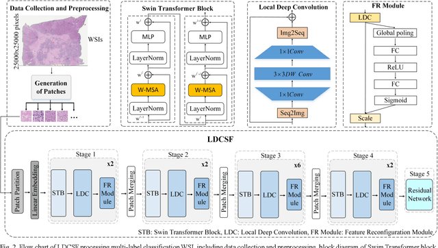 Figure 2 for LDCSF: Local depth convolution-based Swim framework for classifying multi-label histopathology images
