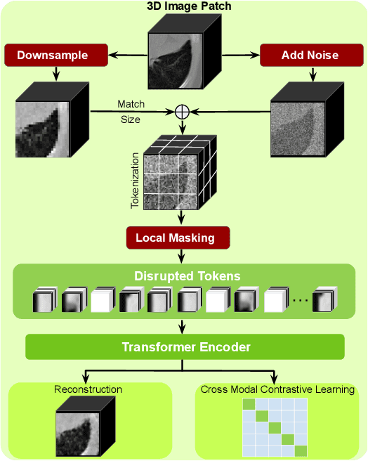 Figure 1 for Disruptive Autoencoders: Leveraging Low-level features for 3D Medical Image Pre-training