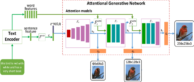 Figure 1 for A Simple and Effective Baseline for Attentional Generative Adversarial Networks