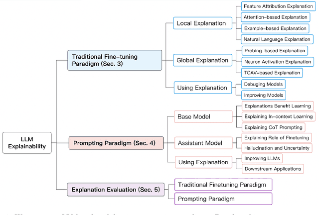 Figure 1 for Explainability for Large Language Models: A Survey