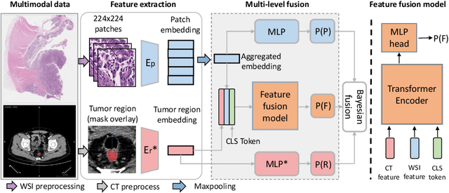Figure 1 for $M^{2}$Fusion: Bayesian-based Multimodal Multi-level Fusion on Colorectal Cancer Microsatellite Instability Prediction