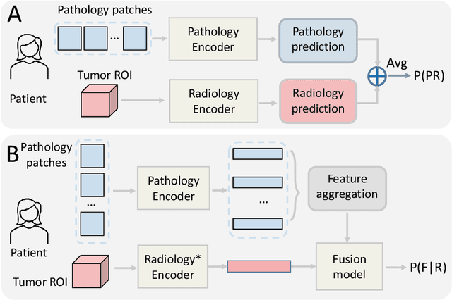Figure 3 for $M^{2}$Fusion: Bayesian-based Multimodal Multi-level Fusion on Colorectal Cancer Microsatellite Instability Prediction