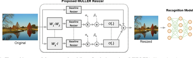 Figure 3 for MULLER: Multilayer Laplacian Resizer for Vision