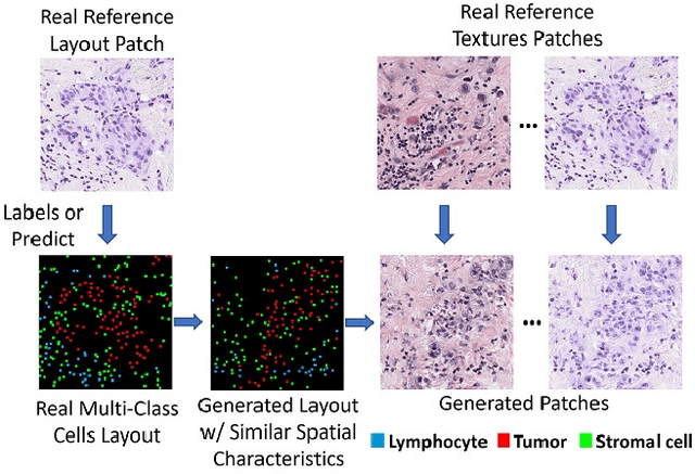 Figure 1 for Topology-Guided Multi-Class Cell Context Generation for Digital Pathology