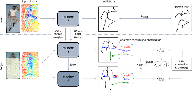 Figure 3 for Anatomy-guided domain adaptation for 3D in-bed human pose estimation