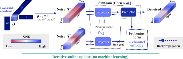 Figure 1 for Low-rank constrained multichannel signal denoising considering channel-dependent sensitivity inspired by self-supervised learning for optical fiber sensing