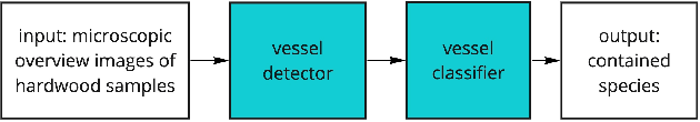 Figure 3 for Automating Wood Species Detection and Classification in Microscopic Images of Fibrous Materials with Deep Learning