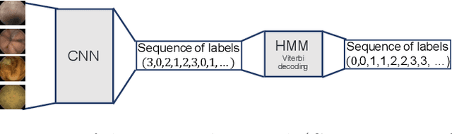 Figure 1 for Precise localization within the GI tract by combining classification of CNNs and time-series analysis of HMMs