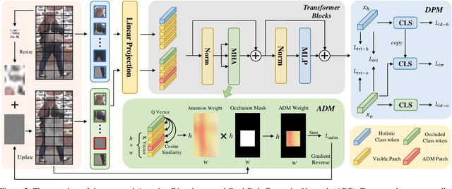 Figure 3 for Attention Disturbance and Dual-Path Constraint Network for Occluded Person Re-Identification