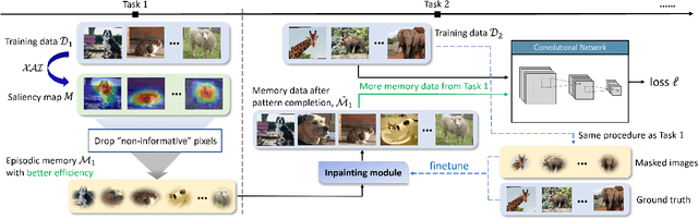 Figure 1 for Saliency-Augmented Memory Completion for Continual Learning