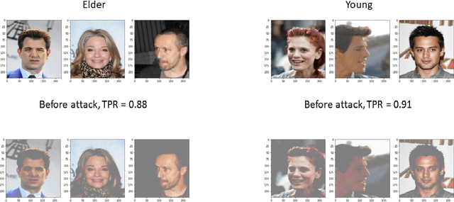 Figure 1 for To be Robust and to be Fair: Aligning Fairness with Robustness
