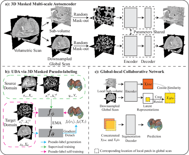 Figure 3 for 3D Masked Autoencoding and Pseudo-labeling for Domain Adaptive Segmentation of Heterogeneous Infant Brain MRI