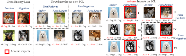Figure 1 for Understanding and Mitigating Human-Labelling Errors in Supervised Contrastive Learning