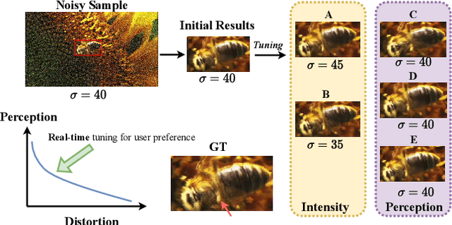 Figure 1 for Real-time Controllable Denoising for Image and Video