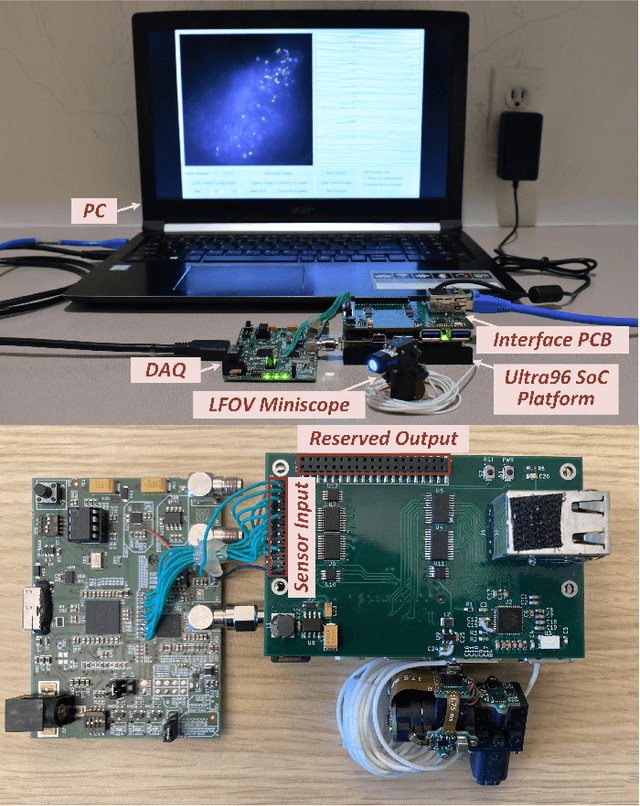 Figure 4 for FPGA-Based In-Vivo Calcium Image Decoding for Closed-Loop Feedback Applications