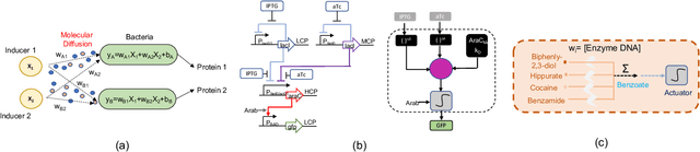 Figure 1 for Realizing Molecular Machine Learning through Communications for Biological AI: Future Directions and Challenges