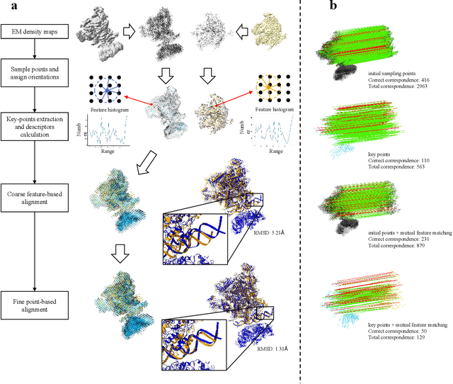 Figure 1 for CryoAlign: feature-based method for global and local 3D alignment of EM density maps