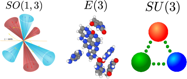 Figure 1 for A General Framework for Equivariant Neural Networks on Reductive Lie Groups