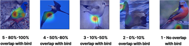Figure 1 for Improving Prototypical Part Networks with Reward Reweighing, Reselection, and Retraining