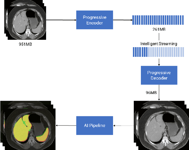 Figure 3 for High-Throughput AI Inference for Medical Image Classification and Segmentation using Intelligent Streaming