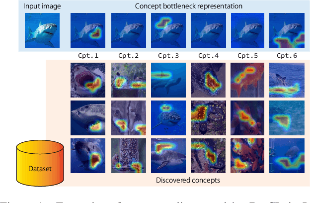 Figure 1 for Learning Bottleneck Concepts in Image Classification