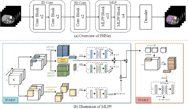 Figure 3 for A Permutable Hybrid Network for Volumetric Medical Image Segmentation
