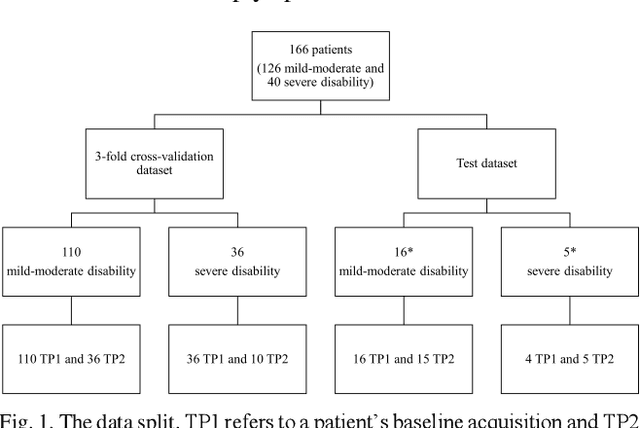 Figure 1 for GAMER-MRIL identifies Disability-Related Brain Changes in Multiple Sclerosis