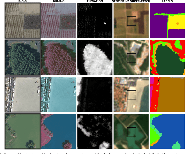 Figure 4 for FLAIR #2: textural and temporal information for semantic segmentation from multi-source optical imagery