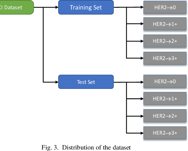 Figure 3 for convoHER2: A Deep Neural Network for Multi-Stage Classification of HER2 Breast Cancer