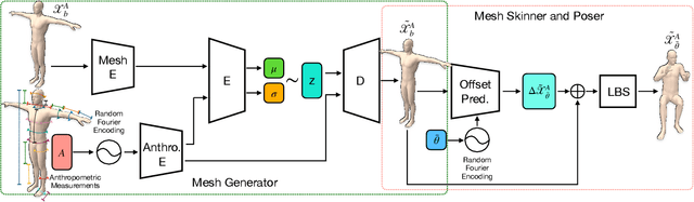 Figure 1 for AnthroNet: Conditional Generation of Humans via Anthropometrics