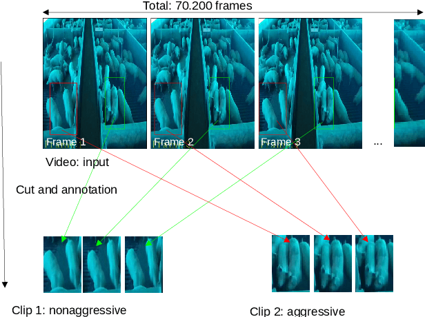 Figure 1 for Pig aggression classification using CNN, Transformers and Recurrent Networks