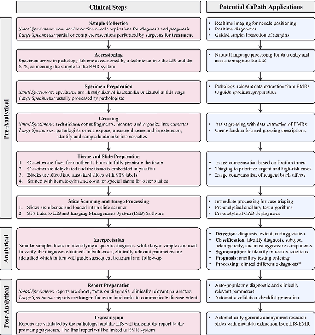 Figure 3 for Computational Pathology: A Survey Review and The Way Forward