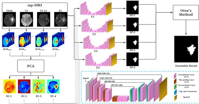 Figure 3 for A Radiomics-Incorporated Deep Ensemble Learning Model for Multi-Parametric MRI-based Glioma Segmentation