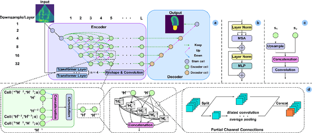 Figure 1 for SSHNN: Semi-Supervised Hybrid NAS Network for Echocardiographic Image Segmentation
