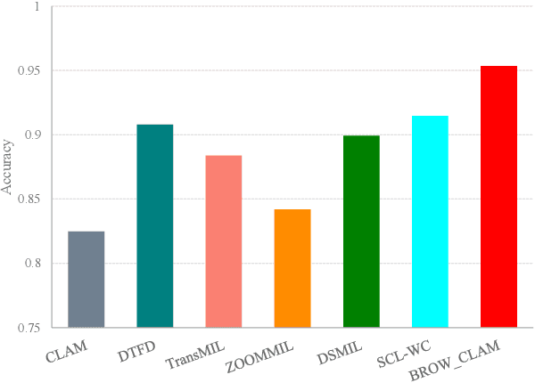 Figure 3 for BROW: Better featuRes fOr Whole slide image based on self-distillation