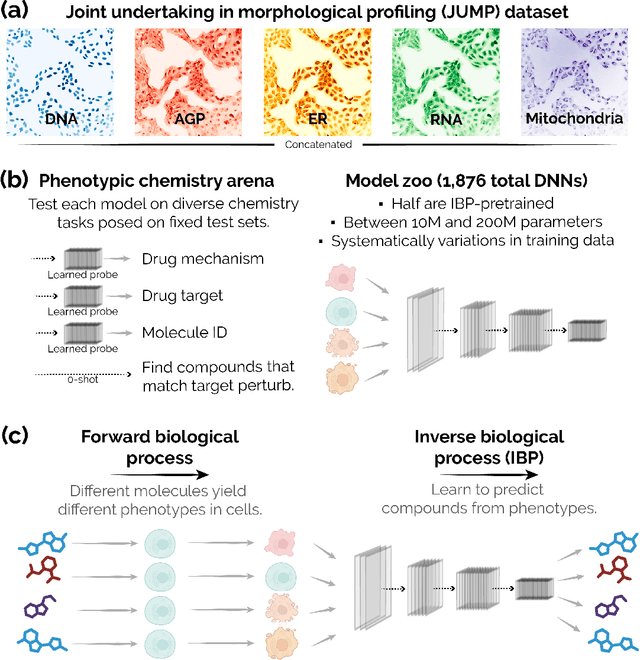 Figure 1 for Neural scaling laws for phenotypic drug discovery