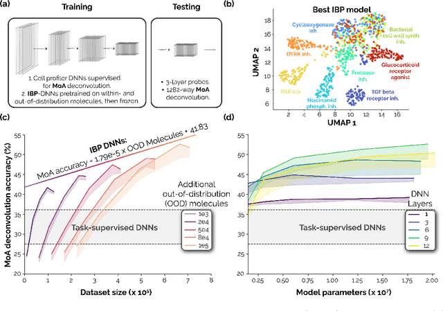 Figure 2 for Neural scaling laws for phenotypic drug discovery