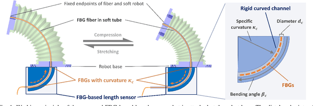 Figure 1 for FBG-Based Variable-Length Estimation for Shape Sensing of Extensible Soft Robotic Manipulators